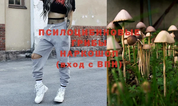 ПСИЛОЦИБИНОВЫЕ ГРИБЫ Алзамай