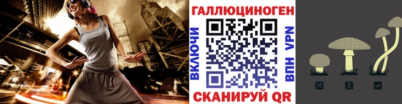 Псилоцибиновые грибы Magic Shrooms  Купить где  Сорск 